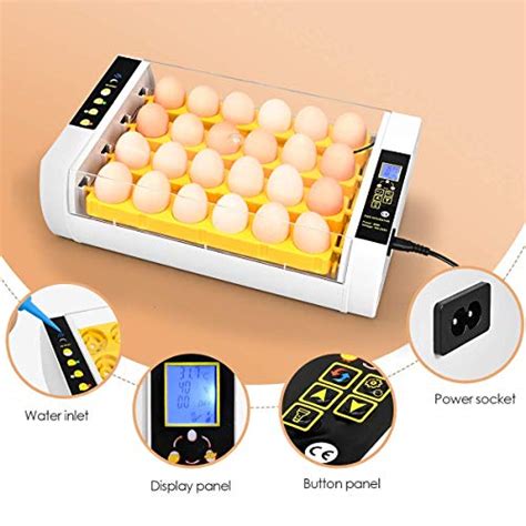 Exploring Different DIY Incubation Methods vs. the Magic Fly Egg Heating Device